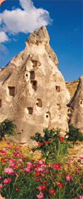 Turchia