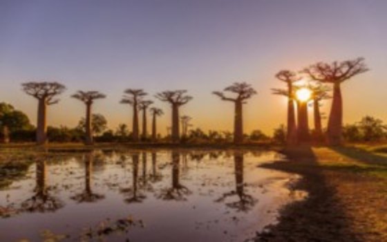 Madagascar