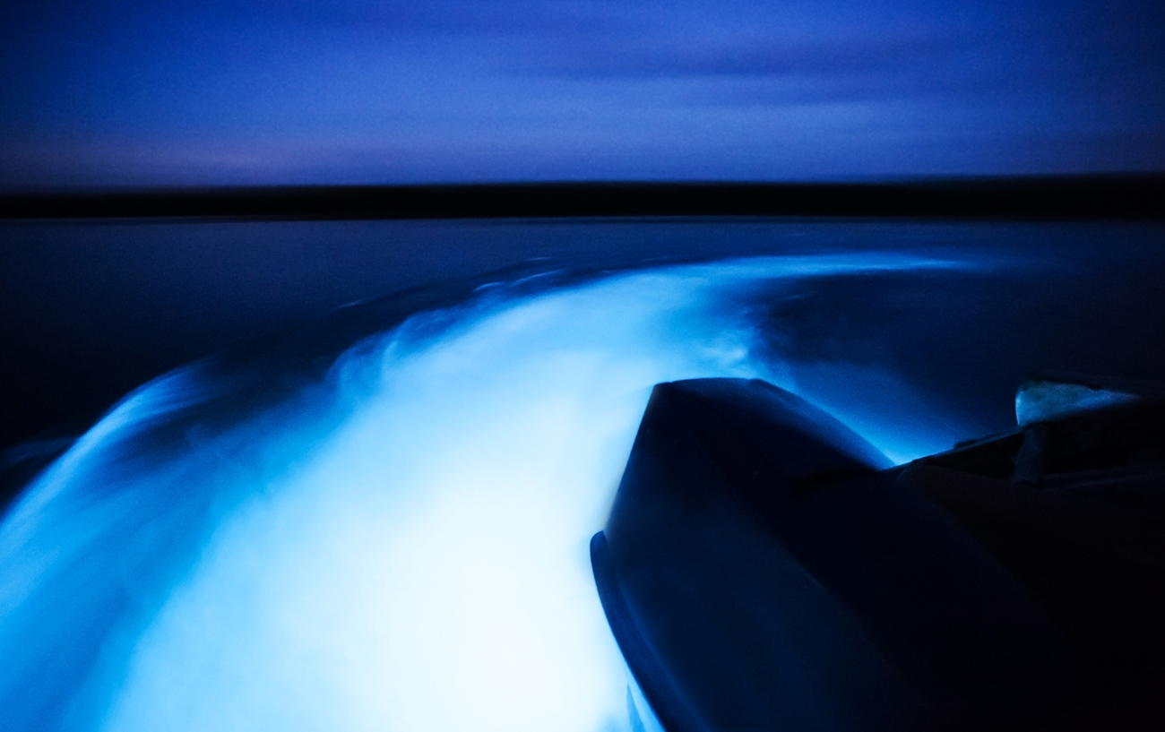 Cose da vedere in Giamaica: Laguna luminosa