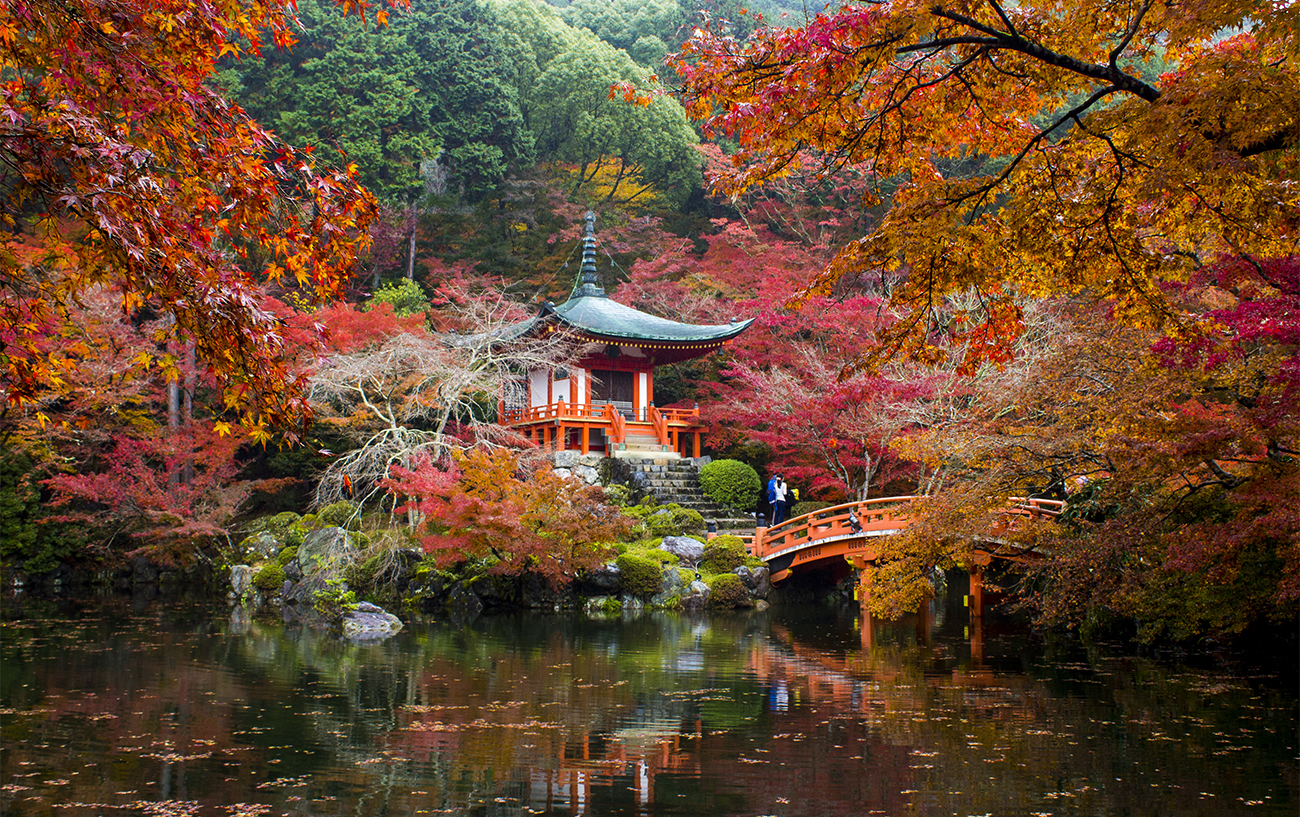 Foliage in Giappone: alla scoperta del Momijigari - Veratour
