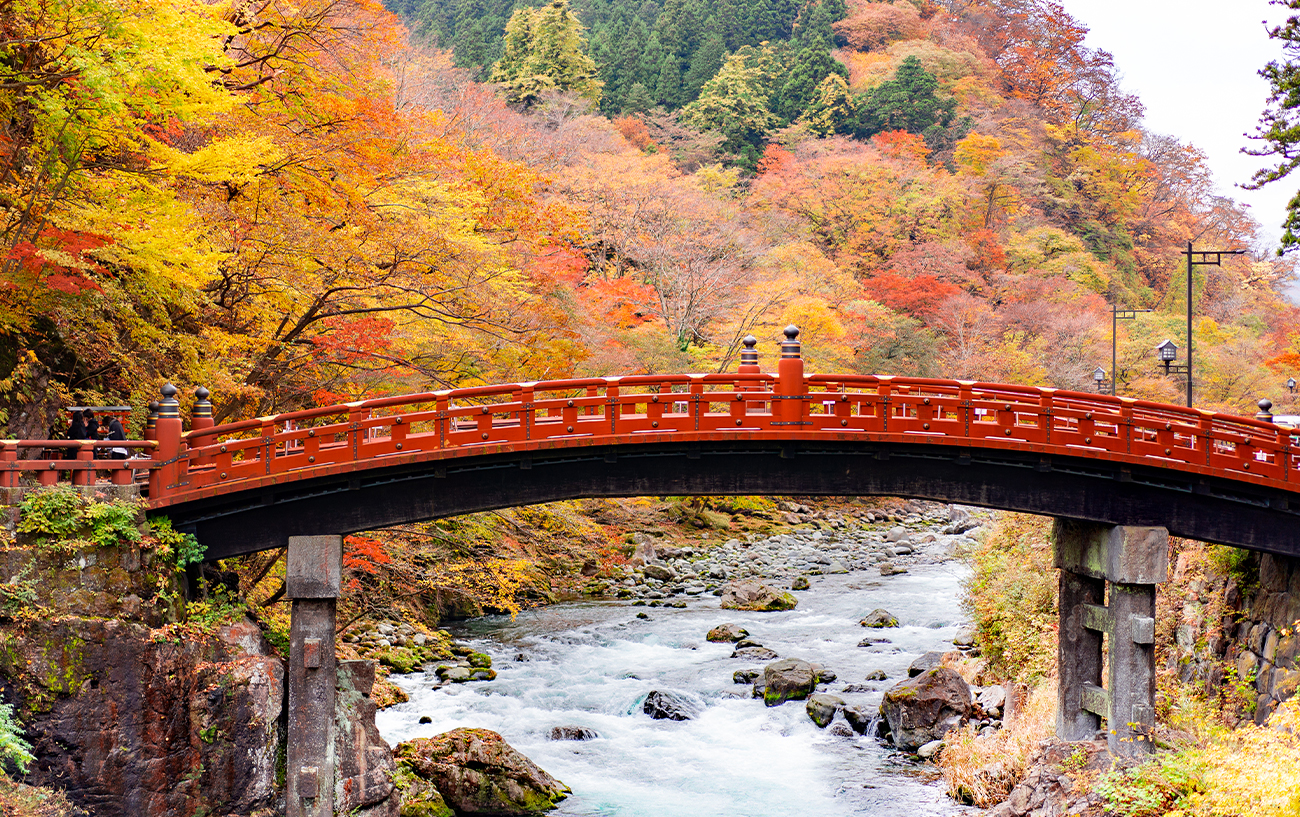 Koyo: la caccia ai colori dell'autunno in Giappone