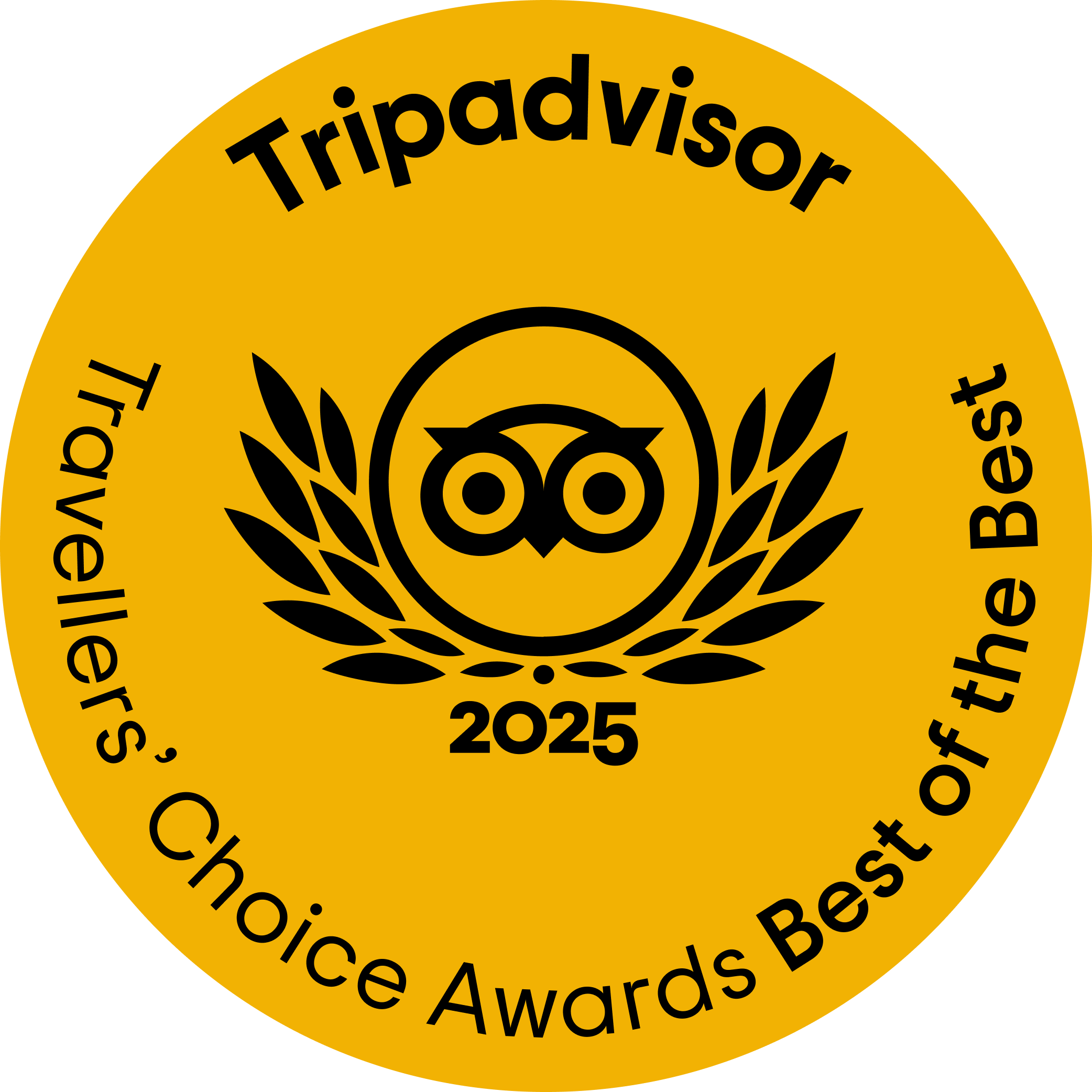 Trip Advisor Best of the Best